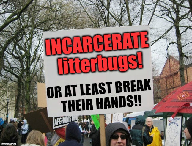 Blank protest sign | INCARCERATE litterbugs! OR AT LEAST BREAK THEIR HANDS!! | image tagged in blank protest sign | made w/ Imgflip meme maker