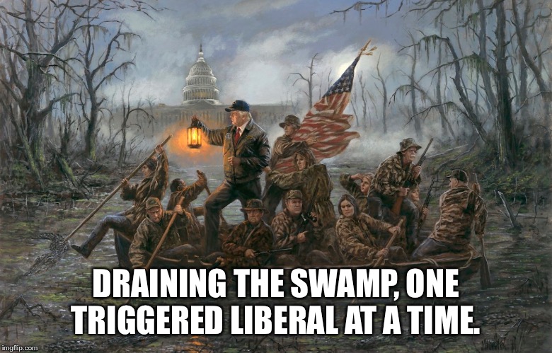 DRAINING THE SWAMP, ONE TRIGGERED LIBERAL AT A TIME. | image tagged in donald trump | made w/ Imgflip meme maker