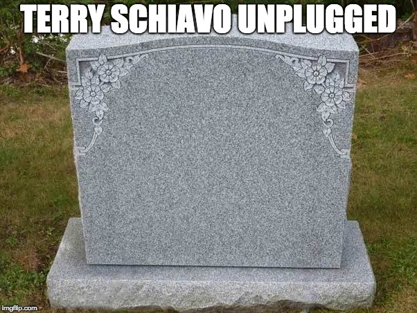 Lost episode of MTV: Unplugged | TERRY SCHIAVO UNPLUGGED | image tagged in funny | made w/ Imgflip meme maker