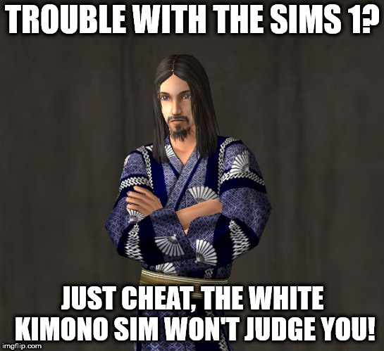  TROUBLE WITH THE SIMS 1? JUST CHEAT, THE WHITE KIMONO SIM WON'T JUDGE YOU! | image tagged in sim kimono | made w/ Imgflip meme maker