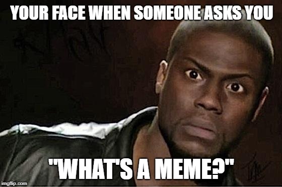 I'd feel the same way | YOUR FACE WHEN SOMEONE ASKS YOU; "WHAT'S A MEME?" | image tagged in memes,kevin hart,what's a meme | made w/ Imgflip meme maker