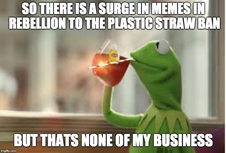 Straw Kermit | SO THERE IS A SURGE IN MEMES IN REBELLION TO THE PLASTIC STRAW BAN; BUT THATS NONE OF MY BUSINESS | image tagged in but thats none of my business,straws | made w/ Imgflip meme maker