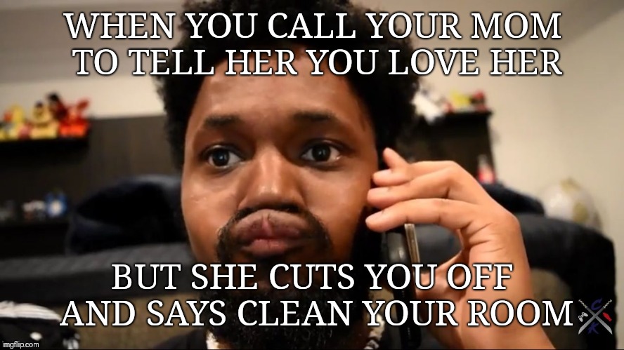 Coryxkenshin  | WHEN YOU CALL YOUR MOM TO TELL HER YOU LOVE HER; BUT SHE CUTS YOU OFF AND SAYS CLEAN YOUR ROOM | image tagged in coryxkenshin | made w/ Imgflip meme maker