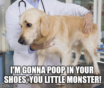 I'M GONNA POOP IN YOUR SHOES, YOU LITTLE MONSTER! | made w/ Imgflip meme maker