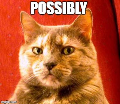 POSSIBLY | made w/ Imgflip meme maker