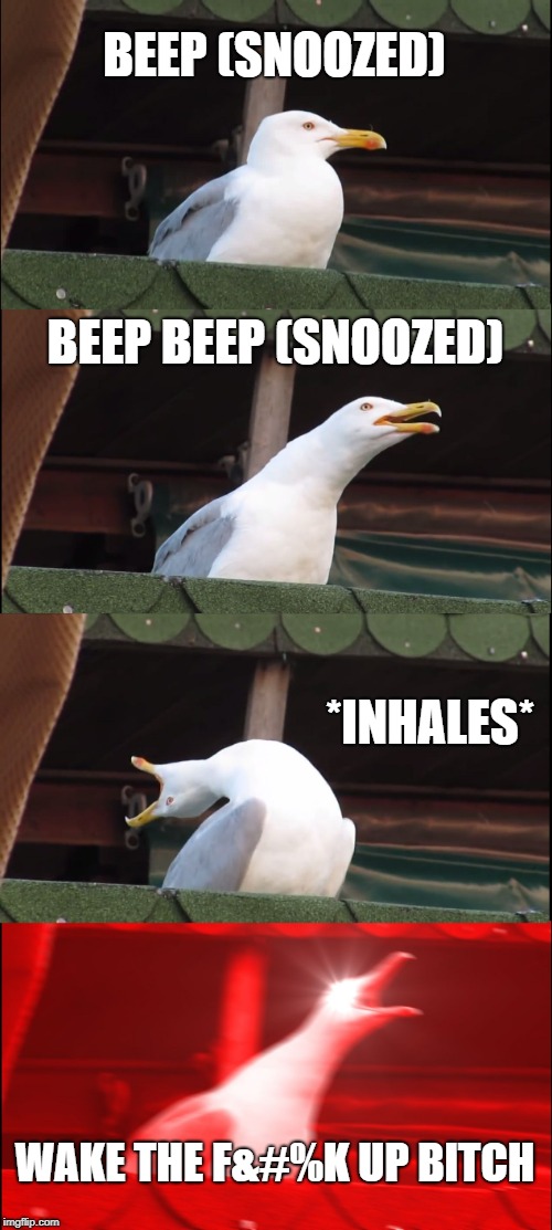 Alarm Clocks be Like | BEEP (SNOOZED); BEEP BEEP (SNOOZED); *INHALES*; WAKE THE F&#%K UP BITCH | image tagged in memes,inhaling seagull | made w/ Imgflip meme maker