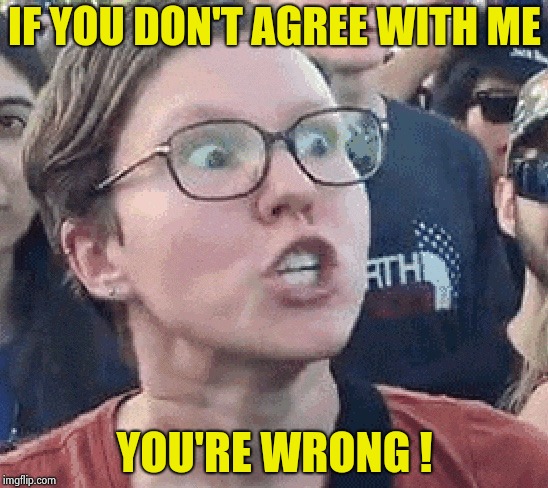 Triggered Liberal | IF YOU DON'T AGREE WITH ME YOU'RE WRONG ! | image tagged in triggered liberal | made w/ Imgflip meme maker