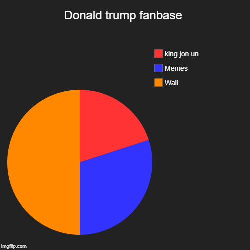 Donald trump fanbase | Wall, Memes, king jon un | image tagged in funny,pie charts | made w/ Imgflip chart maker