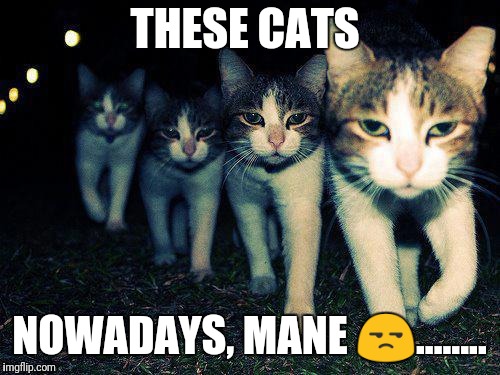 Wrong Neighboorhood Cats Meme | THESE CATS; NOWADAYS, MANE 😒........ | image tagged in memes,wrong neighboorhood cats | made w/ Imgflip meme maker