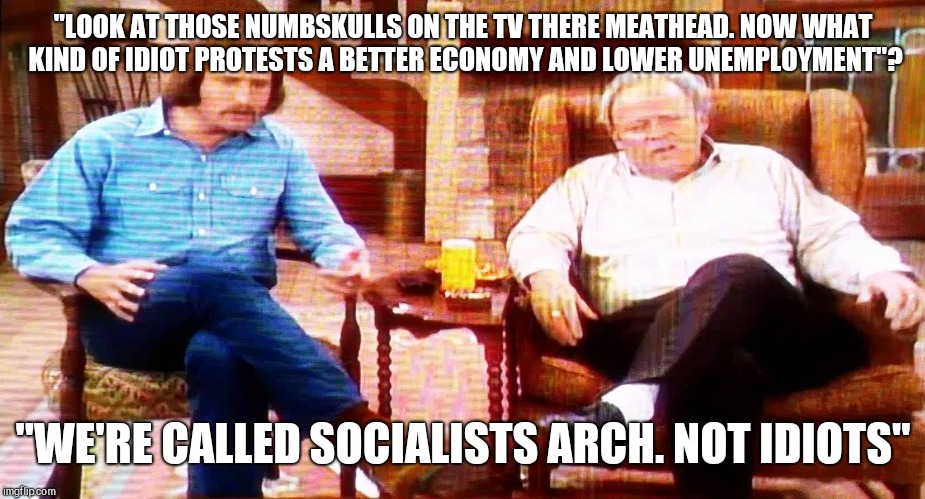 Two different words but same meaning | "LOOK AT THOSE NUMBSKULLS ON THE TV THERE MEATHEAD. NOW WHAT KIND OF IDIOT PROTESTS A BETTER ECONOMY AND LOWER UNEMPLOYMENT"? "WE'RE CALLED SOCIALISTS ARCH. NOT IDIOTS" | image tagged in archie bunker | made w/ Imgflip meme maker