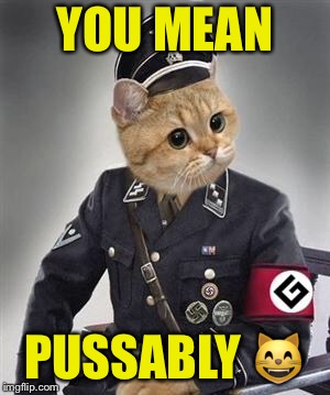 Grammar Nazi Cat | YOU MEAN PUSSABLY  | image tagged in grammar nazi cat | made w/ Imgflip meme maker