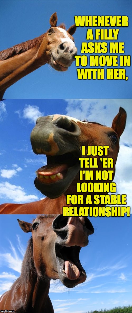 Just Horsing Around | WHENEVER A FILLY ASKS ME TO MOVE IN WITH HER, I JUST TELL 'ER I'M NOT LOOKING FOR A STABLE RELATIONSHIP! | image tagged in just horsing around | made w/ Imgflip meme maker