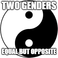2 genders equal but opposte | TWO GENDERS; EQUAL BUT OPPOSITE | image tagged in 2 genders,social justice,common sense | made w/ Imgflip meme maker