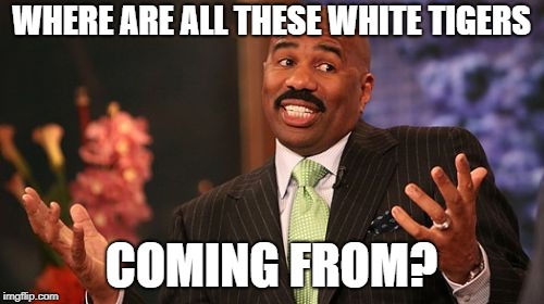 WHERE ARE ALL THESE WHITE TIGERS COMING FROM? | made w/ Imgflip meme maker