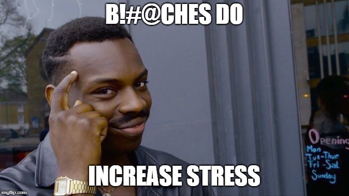 Roll Safe Think About It Meme | B!#@CHES DO INCREASE STRESS | image tagged in memes,roll safe think about it | made w/ Imgflip meme maker