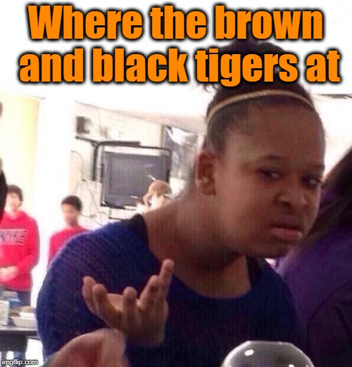 Black Girl Wat Meme | Where the brown and black tigers at | image tagged in memes,black girl wat | made w/ Imgflip meme maker