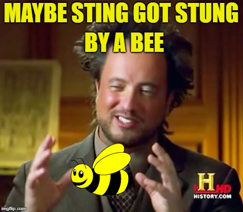 Ancient Aliens Meme | MAYBE STING GOT STUNG BY A BEE | image tagged in memes,ancient aliens | made w/ Imgflip meme maker