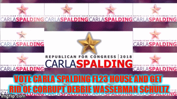 Carla Spalding for FL23 Senate | VOTE CARLA SPALDING FL23 HOUSE AND GET RID OF CORRUPT DEBBIE WASSERMAN SCHULTZ | image tagged in politics | made w/ Imgflip video-to-gif maker