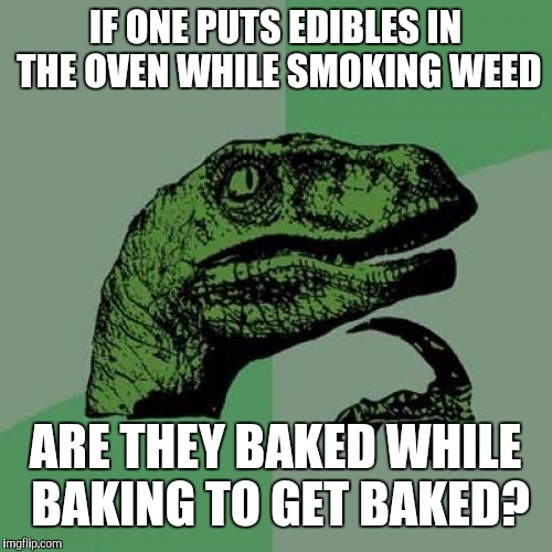 Philosoraptor Meme | IF ONE PUTS EDIBLES IN THE OVEN WHILE SMOKING WEED; ARE THEY BAKED WHILE BAKING TO GET BAKED? | image tagged in memes,philosoraptor | made w/ Imgflip meme maker