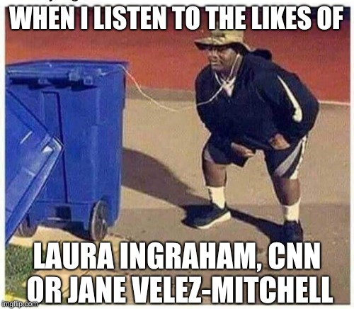 Me while listing to the news | WHEN I LISTEN TO THE LIKES OF; LAURA INGRAHAM, CNN OR JANE VELEZ-MITCHELL | image tagged in news,memes,cnn fake news,news sucks,cnn breaking news template | made w/ Imgflip meme maker