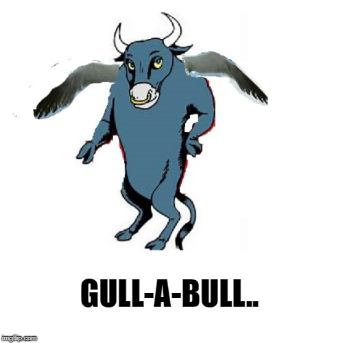 gull-a-bull | GULL-A-BULL.. | image tagged in image puns | made w/ Imgflip meme maker