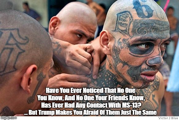 Neither You - Nor Any One You Know - Has Ever Been Threatened, Much Less Harmed, By MS-13 | Have You Ever Noticed That No One You Know, And No One Your Friends Know, Has Ever Had Any Contact With MS-13? ... But Trump Makes You Afraid Of Them Just The Same | image tagged in trump,gangs,ms-13,deplorable donald,fearmonger trump,you've been manipulated | made w/ Imgflip meme maker