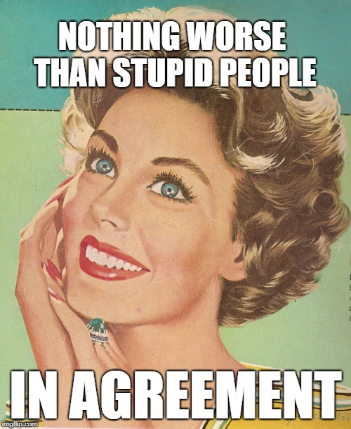 NOTHING WORSE THAN STUPID PEOPLE; IN AGREEMENT | image tagged in stupid people | made w/ Imgflip meme maker