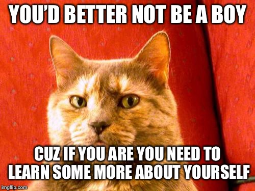 Suspicious Cat Meme | YOU’D BETTER NOT BE A BOY CUZ IF YOU ARE YOU NEED TO LEARN SOME MORE ABOUT YOURSELF | image tagged in memes,suspicious cat | made w/ Imgflip meme maker