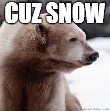 CUZ SNOW | made w/ Imgflip meme maker