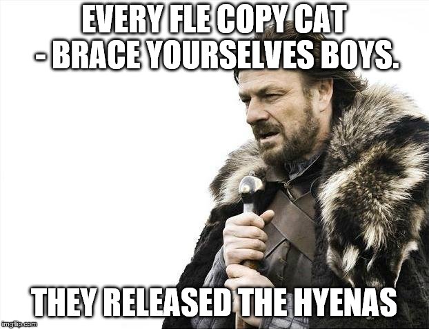 Brace Yourselves X is Coming | EVERY FLE COPY CAT - BRACE YOURSELVES BOYS. THEY RELEASED THE HYENAS | image tagged in memes,brace yourselves x is coming | made w/ Imgflip meme maker