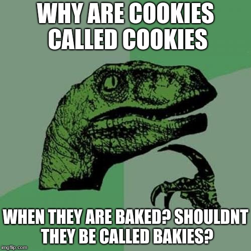 Philosoraptor | WHY ARE COOKIES CALLED COOKIES; WHEN THEY ARE BAKED? SHOULDNT THEY BE CALLED BAKIES? | image tagged in memes,philosoraptor | made w/ Imgflip meme maker