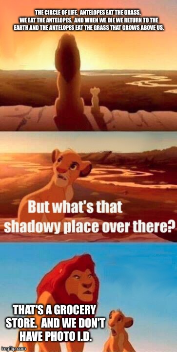 Simba Shadowy Place | THE CIRCLE OF LIFE.  ANTELOPES EAT THE GRASS.  WE EAT THE ANTELOPES.  AND WHEN WE DIE WE RETURN TO THE EARTH AND THE ANTELOPES EAT THE GRASS THAT GROWS ABOVE US. THAT'S A GROCERY STORE.  AND WE DON'T HAVE PHOTO I.D. | image tagged in memes,simba shadowy place | made w/ Imgflip meme maker