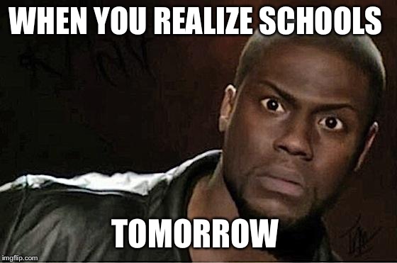 Kevin Hart Meme | WHEN YOU REALIZE SCHOOLS; TOMORROW | image tagged in memes,kevin hart | made w/ Imgflip meme maker