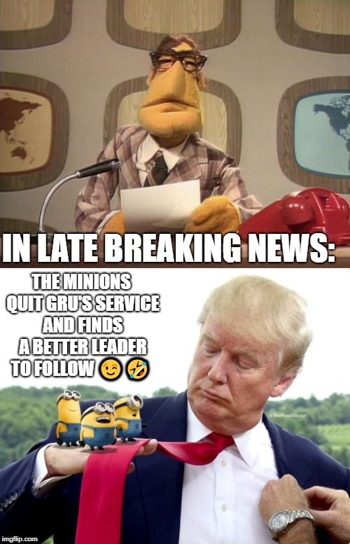 IN LATE BREAKING NEWS:; THE MINIONS QUIT GRU'S SERVICE AND FINDS A BETTER LEADER TO FOLLOW 😉🤣 | image tagged in muppet news,minions,donald trump,maga | made w/ Imgflip meme maker