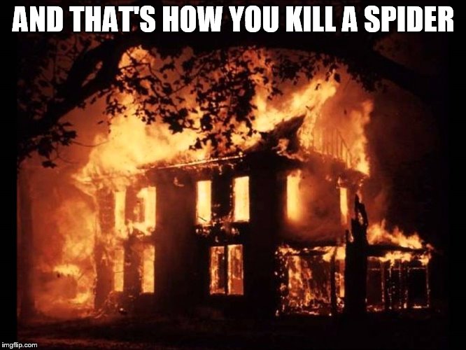 House On Fire | AND THAT'S HOW YOU KILL A SPIDER | image tagged in house on fire | made w/ Imgflip meme maker