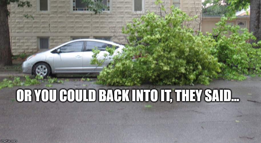 Tree getting its car(bs) | OR YOU COULD BACK INTO IT, THEY SAID... | image tagged in tree getting its carbs | made w/ Imgflip meme maker