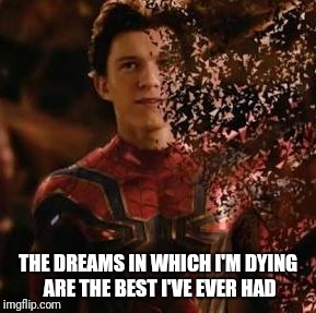 Spiderman dead | THE DREAMS IN WHICH I'M DYING ARE THE BEST I'VE EVER HAD | image tagged in spiderman dead | made w/ Imgflip meme maker
