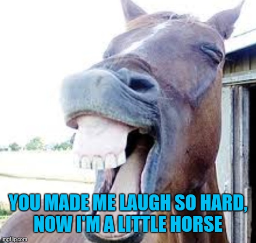 YOU MADE ME LAUGH SO HARD, NOW I'M A LITTLE HORSE | made w/ Imgflip meme maker