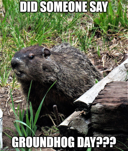 wouldchuck | DID SOMEONE SAY GROUNDHOG DAY??? | image tagged in wouldchuck | made w/ Imgflip meme maker