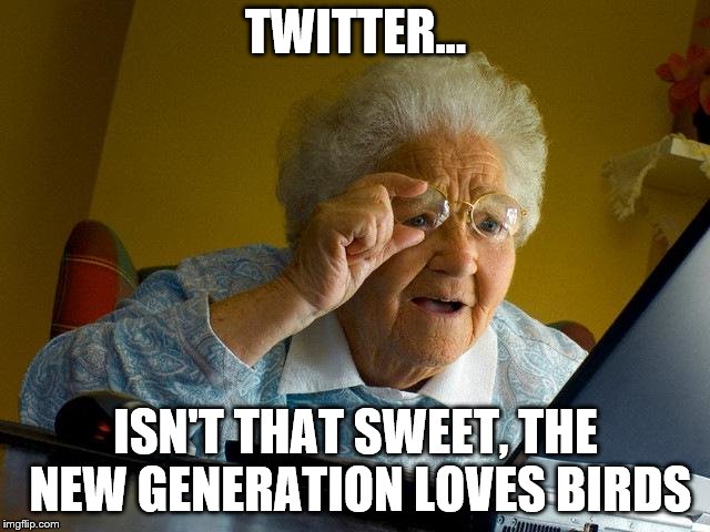 Grandma Finds The Internet Meme | TWITTER... ISN'T THAT SWEET, THE NEW GENERATION LOVES BIRDS | image tagged in memes,grandma finds the internet | made w/ Imgflip meme maker