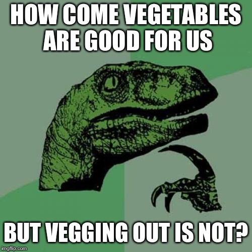 Philosoraptor Meme | HOW COME VEGETABLES ARE GOOD FOR US; BUT VEGGING OUT IS NOT? | image tagged in memes,philosoraptor | made w/ Imgflip meme maker