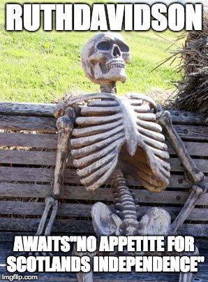 Waiting Skeleton Meme | RUTHDAVIDSON; AWAITS"NO APPETITE FOR SCOTLANDS INDEPENDENCE" | image tagged in memes,waiting skeleton | made w/ Imgflip meme maker