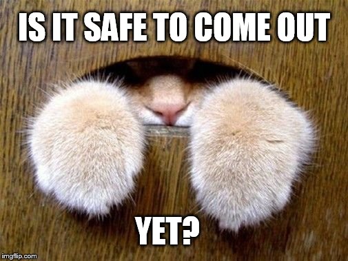 Hiding Memes GIFs Imgflip