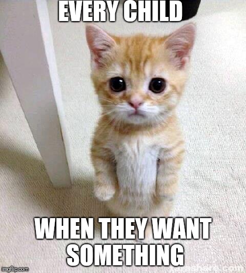 Cute Cat Meme | EVERY CHILD; WHEN THEY WANT SOMETHING | image tagged in memes,cute cat | made w/ Imgflip meme maker