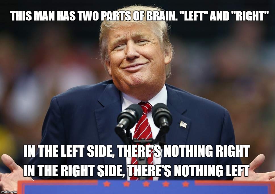 Trumps Brain | THIS MAN HAS TWO PARTS OF BRAIN. "LEFT" AND "RIGHT"; IN THE LEFT SIDE, THERE'S NOTHING RIGHT; IN THE RIGHT SIDE, THERE'S NOTHING LEFT | image tagged in donald trump,brain,left | made w/ Imgflip meme maker