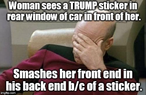 She was offended so it makes sense. LOL | Woman sees a TRUMP sticker in rear window of car in front of her. Smashes her front end in his back end b/c of a sticker. | image tagged in memes,captain picard facepalm | made w/ Imgflip meme maker