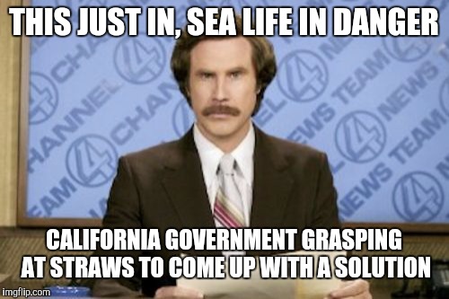 Ron Burgundy | THIS JUST IN, SEA LIFE IN DANGER; CALIFORNIA GOVERNMENT GRASPING AT STRAWS TO COME UP WITH A SOLUTION | image tagged in memes,ron burgundy | made w/ Imgflip meme maker