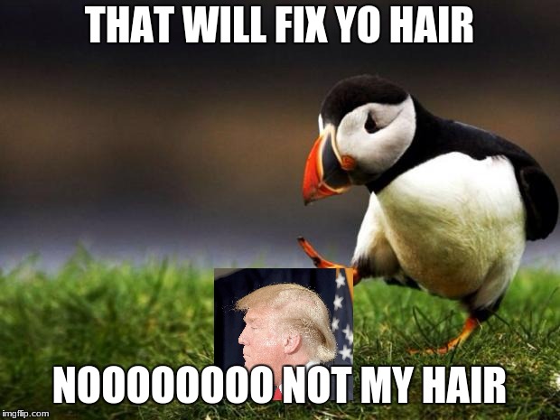 Unpopular Opinion Puffin Meme | THAT WILL FIX YO HAIR; NOOOOOOOO NOT MY HAIR | image tagged in memes,unpopular opinion puffin | made w/ Imgflip meme maker