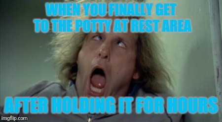 Scary Harry | WHEN YOU FINALLY GET TO THE POTTY AT REST AREA; AFTER HOLDING IT FOR HOURS | image tagged in memes,scary harry | made w/ Imgflip meme maker