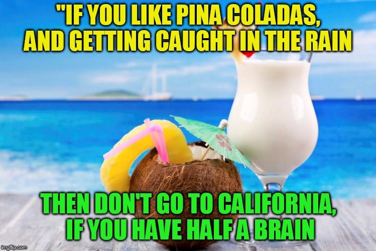 "IF YOU LIKE PINA COLADAS, AND GETTING CAUGHT IN THE RAIN THEN DON'T GO TO CALIFORNIA, IF YOU HAVE HALF A BRAIN | made w/ Imgflip meme maker
